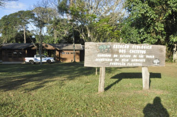 Alunos do 5º ano de Duartina visitam Estação Ecológica dos Caetetus na Semana do Meio Ambiente