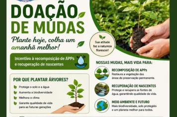 Secretaria Municipal de Agricultura e Meio Ambiente incentiva plantio com doação gratuita de mudas em Duartina