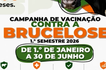 Vacinação contra a brucelose segue até 30 de junho em Duartina