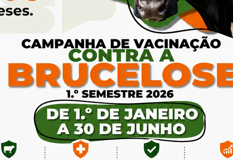Vacinação contra a brucelose segue até 30 de junho em Duartina